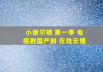 小谢尔顿 第一季 电视剧国产剧 在线云播